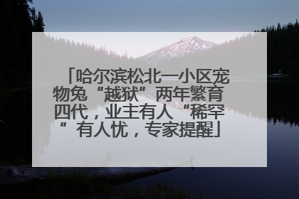 哈尔滨松北一小区宠物兔“越狱”两年繁育四代，业主有人“稀罕”有人忧，专家提醒