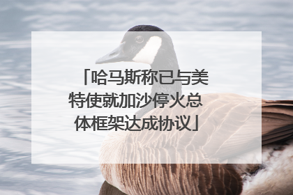 哈马斯称已与美特使就加沙停火总体框架达成协议