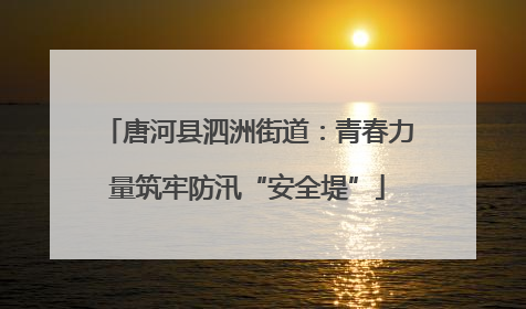 唐河县泗洲街道：青春力量筑牢防汛“安全堤”