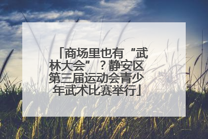 商场里也有“武林大会”？静安区第三届运动会青少年武术比赛举行