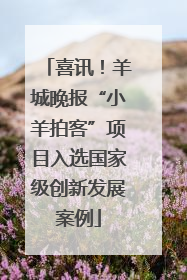 喜讯！羊城晚报“小羊拍客”项目入选国家级创新发展案例