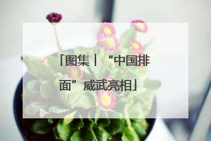 图集︱“中国排面”威武亮相