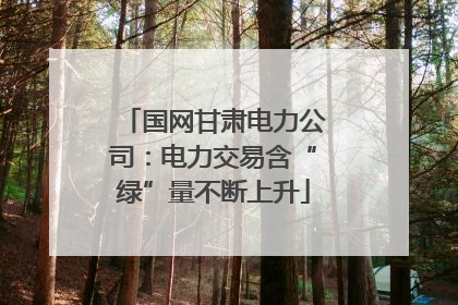 国网甘肃电力公司：电力交易含“绿”量不断上升