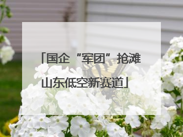 国企“军团”抢滩山东低空新赛道