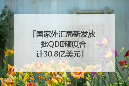 国家外汇局新发放一批QDII额度合计30.8亿美元