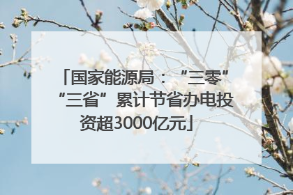 国家能源局：“三零”“三省”累计节省办电投资超3000亿元