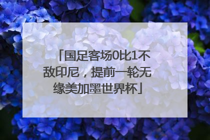 国足客场0比1不敌印尼，提前一轮无缘美加墨世界杯