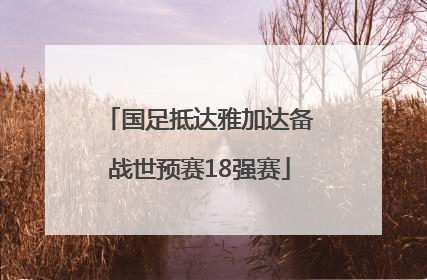 国足抵达雅加达备战世预赛18强赛