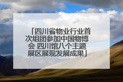 四川省物业行业首次组团参加中国物博会 四川馆八个主题展区展现发展成果