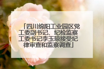四川绵阳工业园区党工委副书记、纪检监察工委书记李玉琼接受纪律审查和监察调查