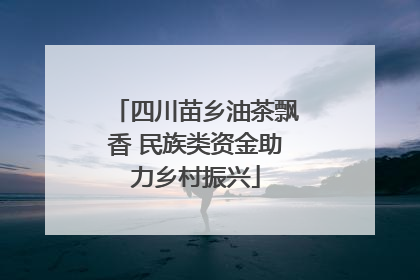 四川苗乡油茶飘香 民族类资金助力乡村振兴