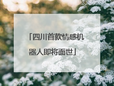 四川首款情感机器人即将面世
