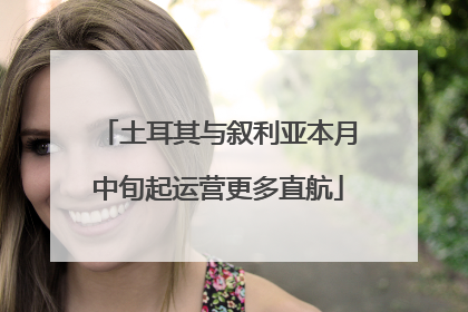 土耳其与叙利亚本月中旬起运营更多直航