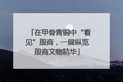 在甲骨青铜中“看见”殷商，一展纵览殷商文物精华