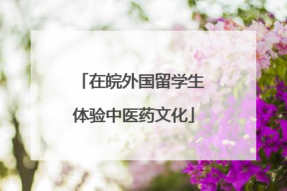在皖外国留学生体验中医药文化