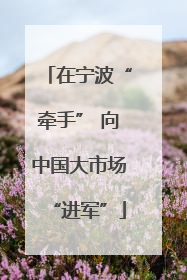 在宁波“牵手” 向中国大市场“进军”