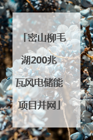 密山柳毛湖200兆瓦风电储能项目并网