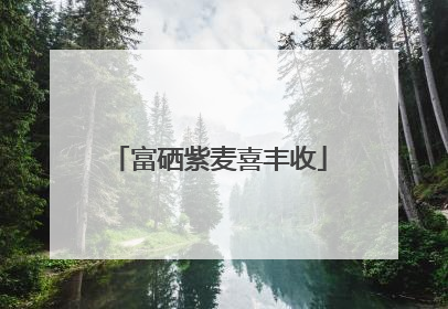 富硒紫麦喜丰收