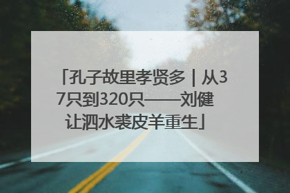 孔子故里孝贤多｜从37只到320只——刘健让泗水裘皮羊重生