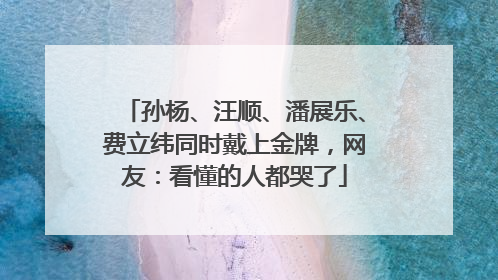 孙杨、汪顺、潘展乐、费立纬同时戴上金牌，网友：看懂的人都哭了