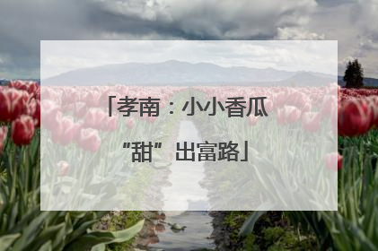 孝南：小小香瓜 “甜”出富路