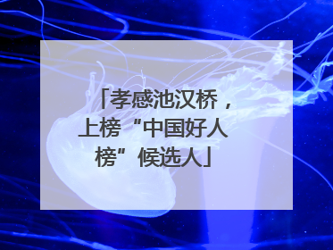 孝感池汉桥，上榜“中国好人榜”候选人