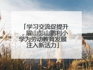 学习交流促提升，眉山彭山鹏利小学为劳动教育发展注入新活力