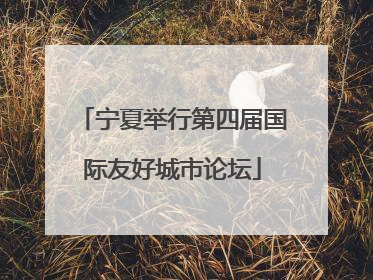 宁夏举行第四届国际友好城市论坛