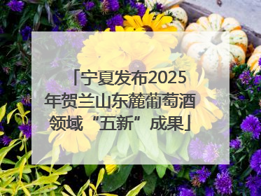 宁夏发布2025年贺兰山东麓葡萄酒领域“五新”成果