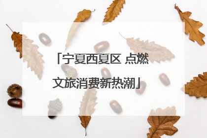 宁夏西夏区 点燃文旅消费新热潮