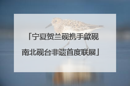 宁夏贺兰砚携手歙砚 南北砚台非遗首度联展