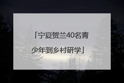 宁夏贺兰40名青少年到乡村研学