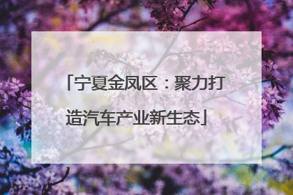 宁夏金凤区：聚力打造汽车产业新生态