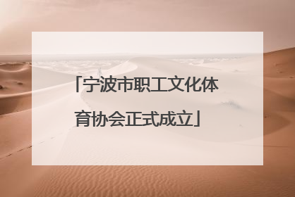 宁波市职工文化体育协会正式成立