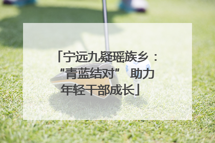 宁远九疑瑶族乡：“青蓝结对” 助力年轻干部成长