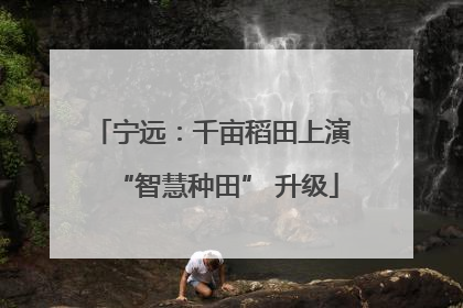 宁远：千亩稻田上演 “智慧种田” 升级