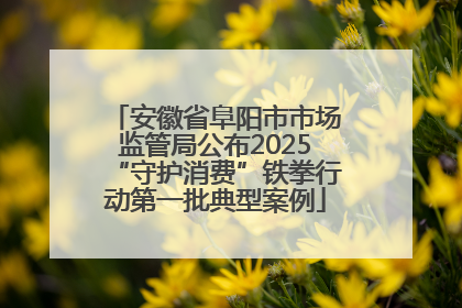 安徽省阜阳市市场监管局公布2025“守护消费”铁拳行动第一批典型案例