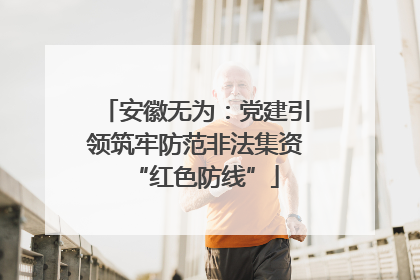 安徽无为：党建引领筑牢防范非法集资“红色防线”