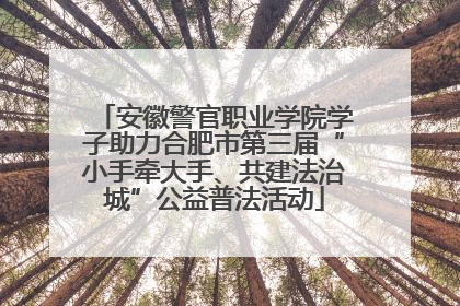 安徽警官职业学院学子助力合肥市第三届“小手牵大手、共建法治城”公益普法活动