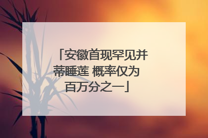 安徽首现罕见并蒂睡莲 概率仅为百万分之一