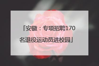 安徽：专项招聘170名退役运动员进校园