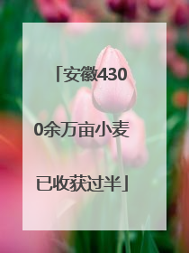 安徽4300余万亩小麦已收获过半