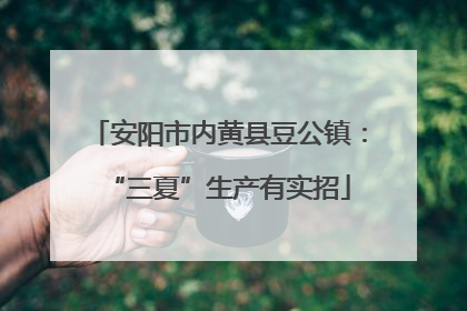 安阳市内黄县豆公镇：“三夏”生产有实招