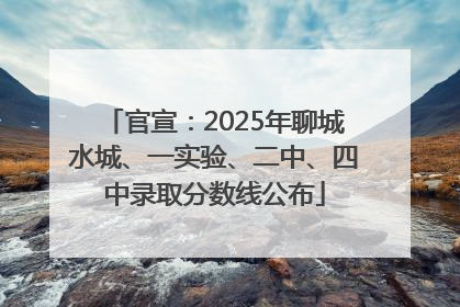 官宣：2025年聊城水城、一实验、二中、四中录取分数线公布