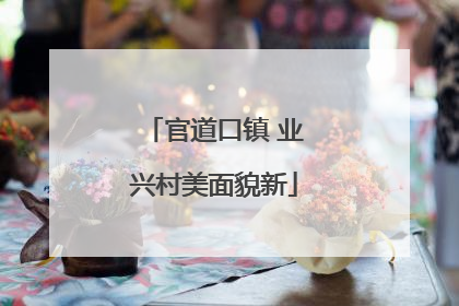 官道口镇 业兴村美面貌新
