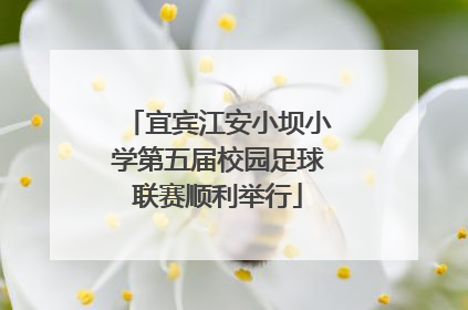 宜宾江安小坝小学第五届校园足球联赛顺利举行