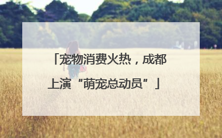 宠物消费火热，成都上演“萌宠总动员”