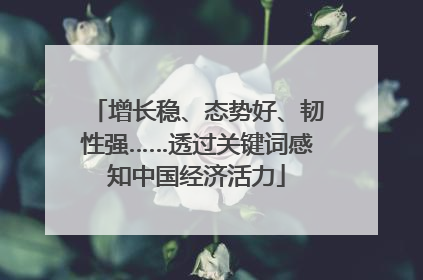 增长稳、态势好、韧性强……透过关键词感知中国经济活力