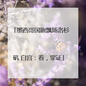 墨西哥国旗飘扬洛杉矶 白宫：看，罪证