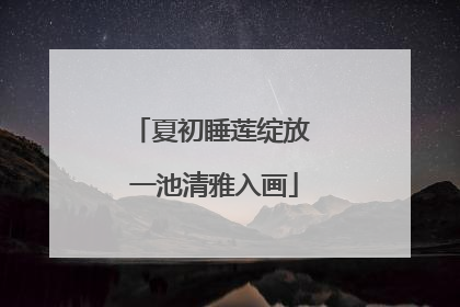 夏初睡莲绽放 一池清雅入画